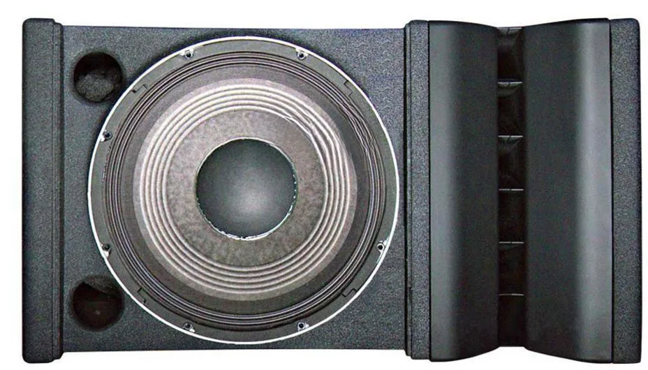 Dragonstage PA System Speaker Professional Sound System for Outdoor / Indoor Event Dual 12 Inch