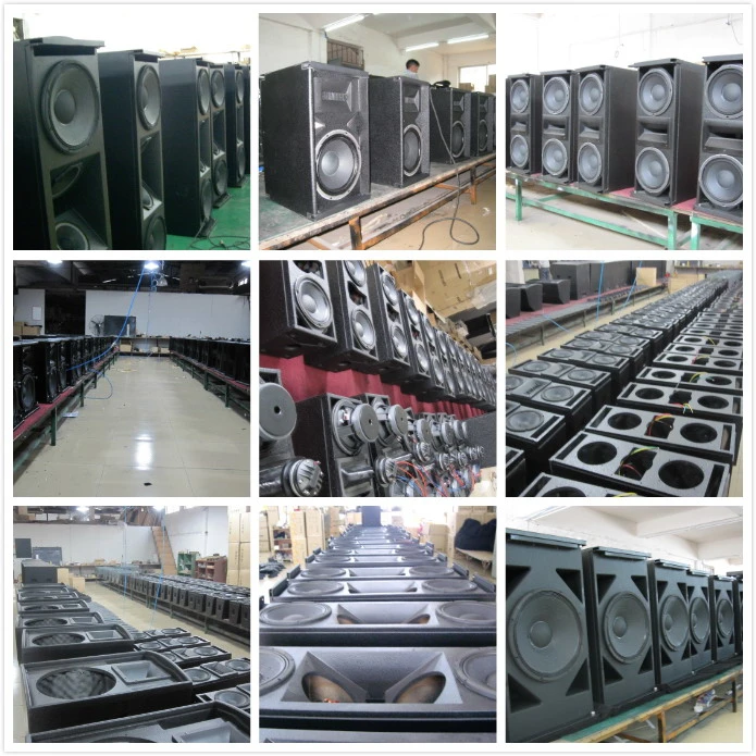High Power Double 10&quot; Line Array Speaker Sound System for Church and Event (Smart 10)