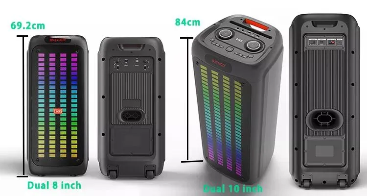 Temeisheng Dual 10 Inch Woofer Big Active Portable Party Wireless Bluetooth Speaker