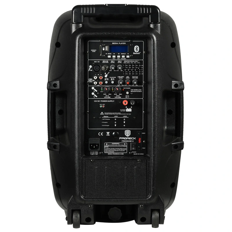 15inch Portable Professional Plastic Box PRO Audio Wireless Bluetooth Active Sound Speaker Box
