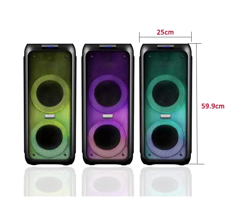 Temeisheng New Fire Light Party Speaker with Double 8 Inch Woofer Two Way Portable Stereo Sound Box Bluetooth Wireless Speaker