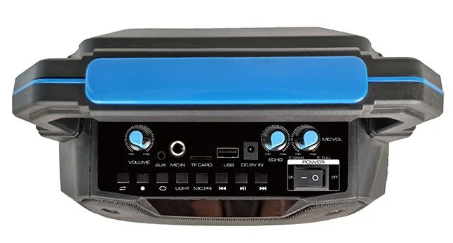 Temeisheng Caxia De Som Tws DJ Box Wireless Powered Professional Portable Audio Mini Bluetooth Speaker with FM Radio