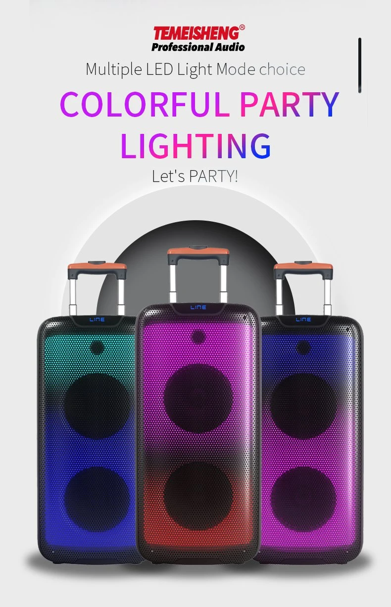 2023 Private Dual 8 Inch PA System Stereo Professional Karaoke Trolley Speaker with Fire LED Lights