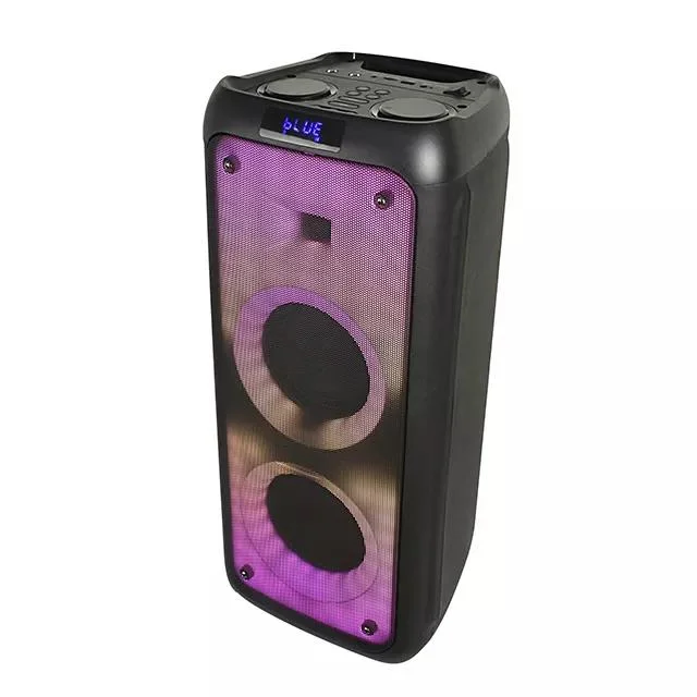 Temeisheng New Fire Light Party Speaker with Double 8 Inch Woofer Two Way Portable Stereo Sound Box Bluetooth Wireless Speaker