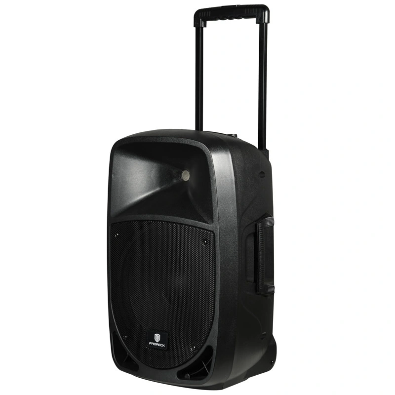 15inch Portable Professional Plastic Box PRO Audio Wireless Bluetooth Active Sound Speaker Box