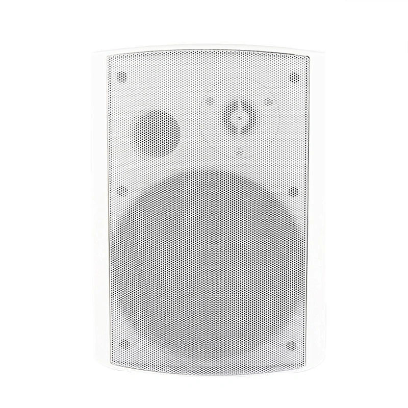 4inch 5inc 6.5inch Professional Mall Shop Public Home Speaker Wall Speaker Box PA Loudspeaker