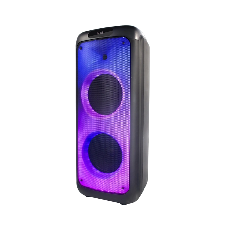 Tms-1035 Temeisheng Distributor Dual 10 Inch FM Audio Bluetooth DJ a-Like Portable Partybox Speaker