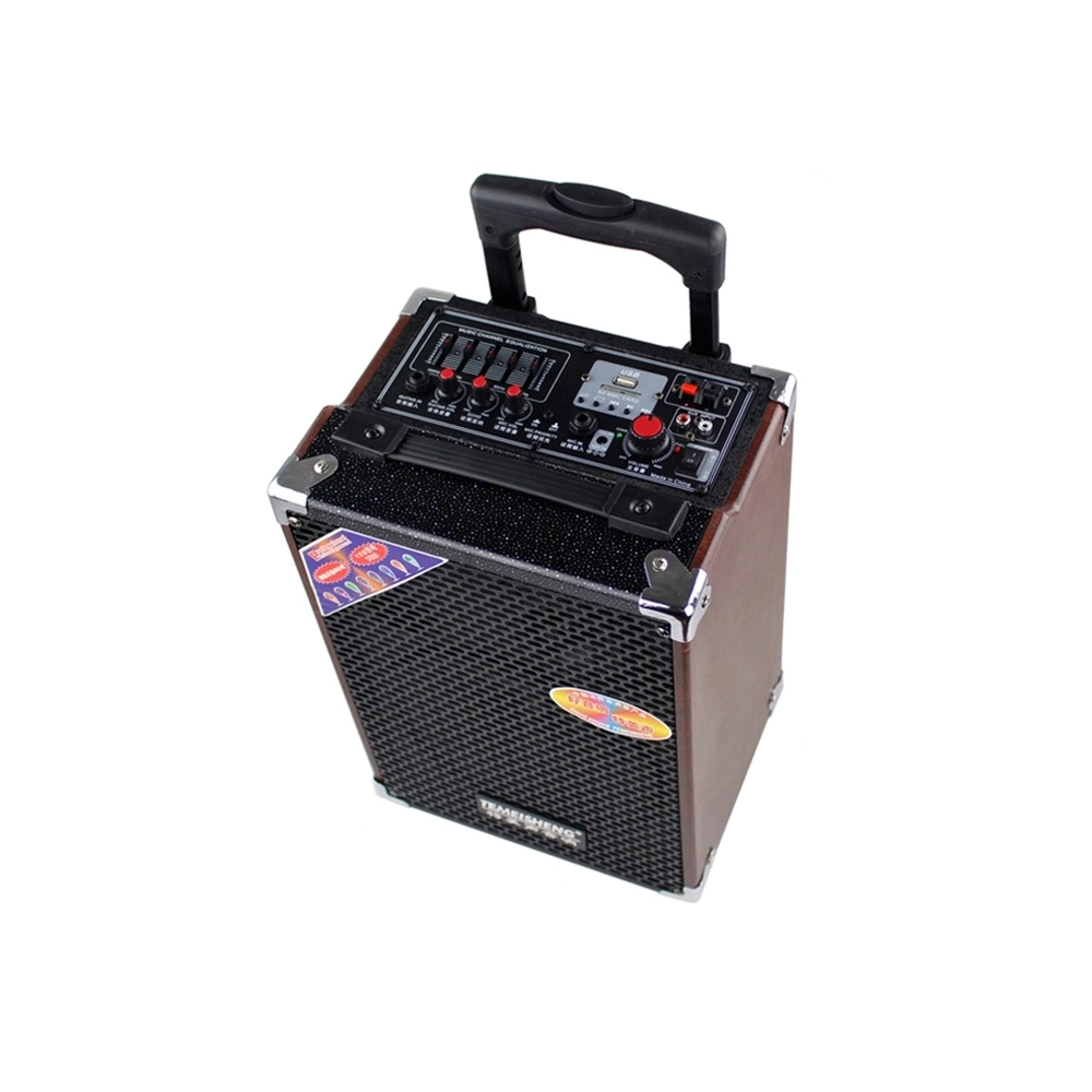 12V Li-ion Battery Temeisheng Q8s Voice Amplifier Multimedia Rechargeable Speaker with Guitar in