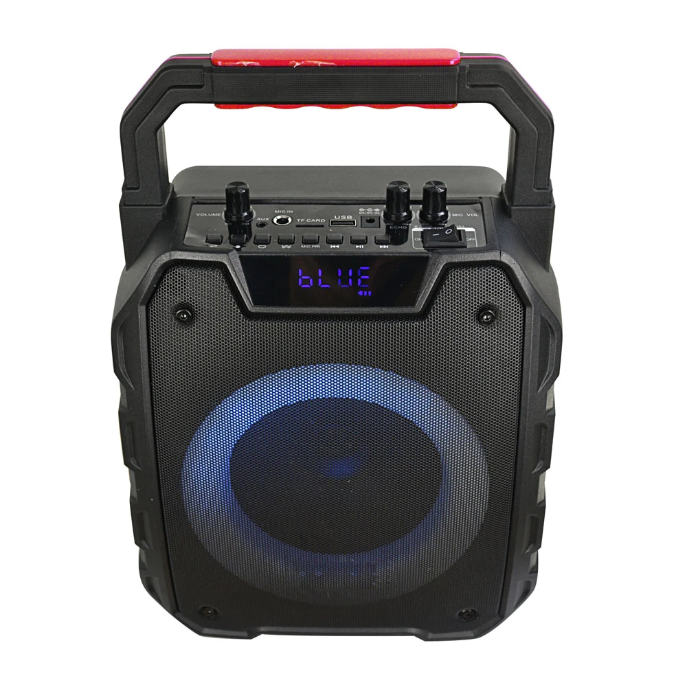 Temeisheng Caxia De Som Tws DJ Box Wireless Powered Professional Portable Audio Mini Bluetooth Speaker with FM Radio