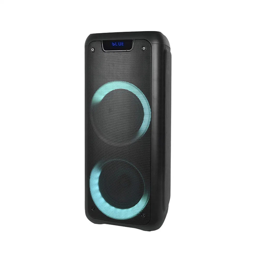 2021 Hot Sell Double 6.5 Inch Portable Speaker Support Bluetooth/FM Radio/USB/TF Card with Fire Light Effect