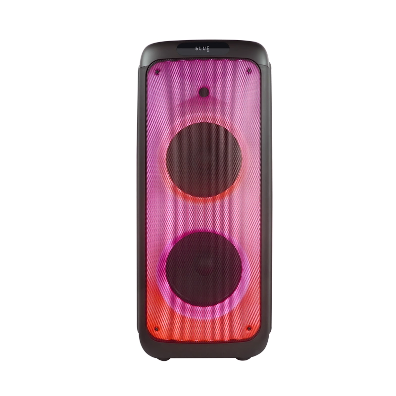 Temeisheng Dual 10 Inch Woofer LED Light RGB Outdoors Portable Wireless Bluetooth Party Speaker