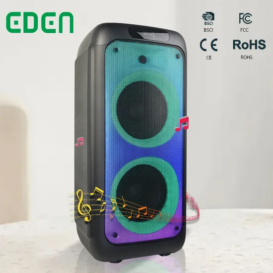 2022 New High Power 100W Dual 10inch Trolley Fire Flame Light Caixa De Som Bluetooth Wireless Karaoke PA Party Speaker