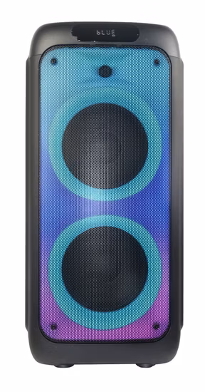 2022 New High Power 100W Dual 10inch Trolley Fire Flame Light Caixa De Som Bluetooth Wireless Karaoke PA Party Speaker
