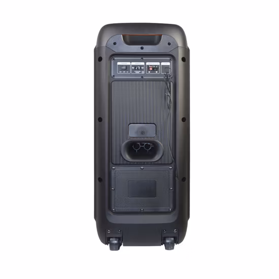 Temeisheng New 80W Big Wireless Bluetooth Portable Trolley HiFi Party Box Speaker