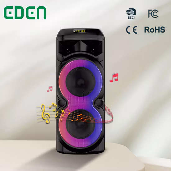 Temeisheng Dual 10 Inch Woofer LED Light RGB Outdoors Portable Wireless Bluetooth Party Speaker