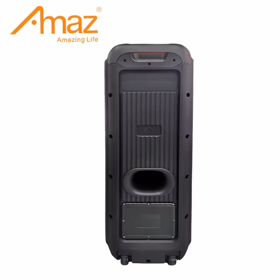 Factory Direct Price Flame Light Bluetooth Tws Speaker