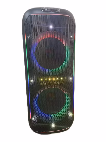18 Inch Hot Sales Bluetooth Portable Wireless Party Outdoor OEM Speaker