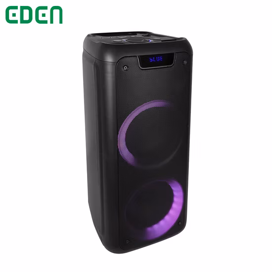 2023 New Arrival Dual 8.5 Inch 20W Audio Box for Karaoke with Attractive Light Bluetooth Wireless Portable Speaker