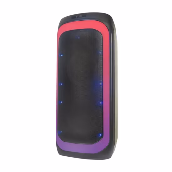 Temeisheng Dual 6.5 Inch Jbl
